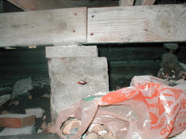 Obstructions in crawlspaces block access and views.