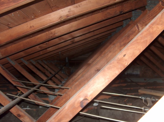 Do you know what is in your attic?