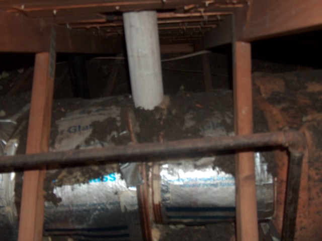 Do you know what is in your attic?